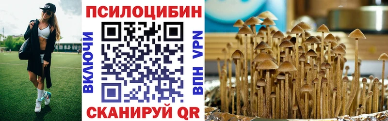 Купить закладки  Старая Купавна  Псилоцибиновые грибы прущие грибы 